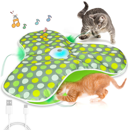Cat Toy Interactive Hide and Seek