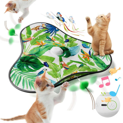 Cat Toy Interactive Hide and Seek