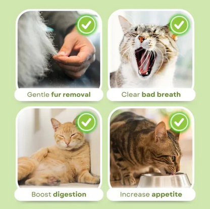 Cat Grass Stick