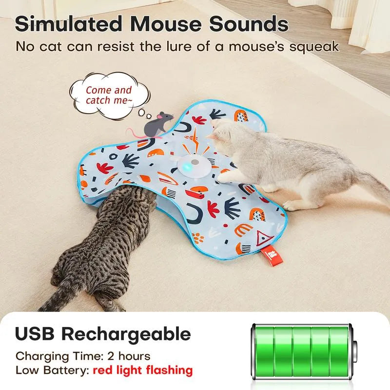 Cat Toy Interactive Hide and Seek